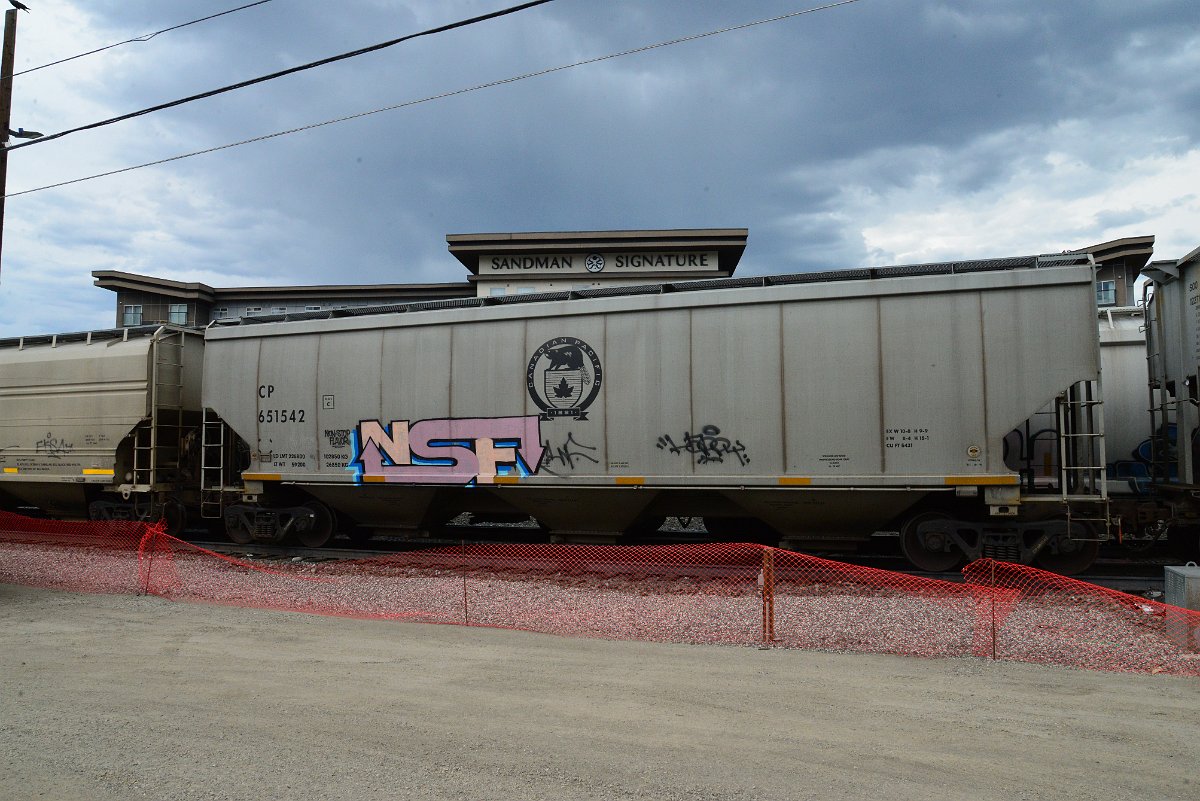 DSC_3802.JPG