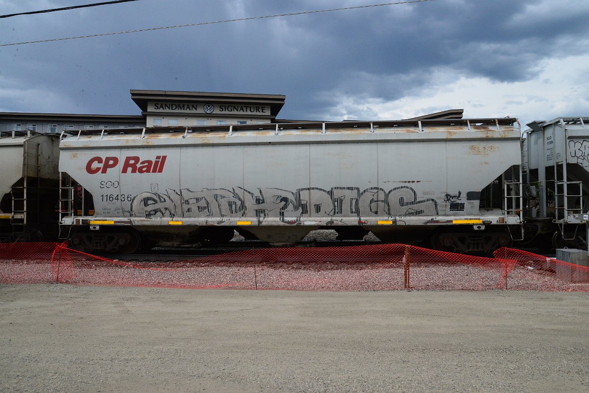 DSC_3819.JPG