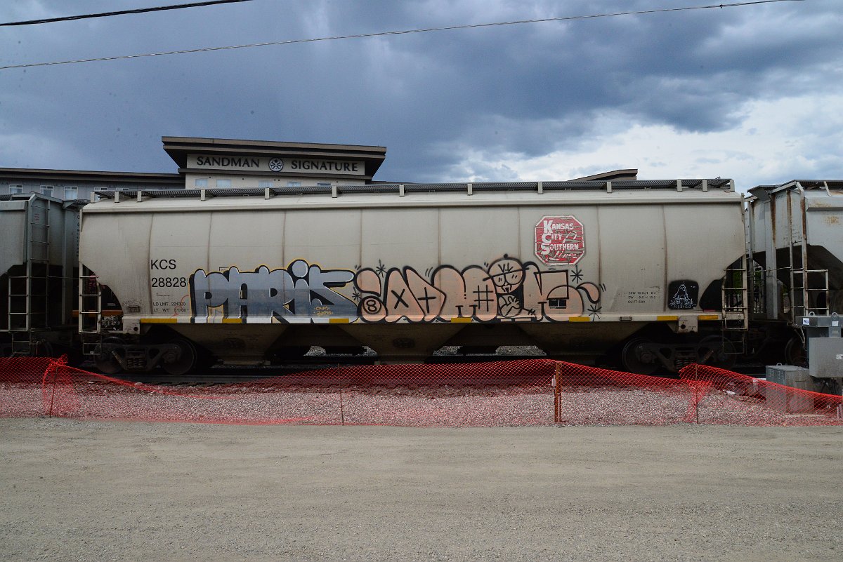 DSC_3820.JPG