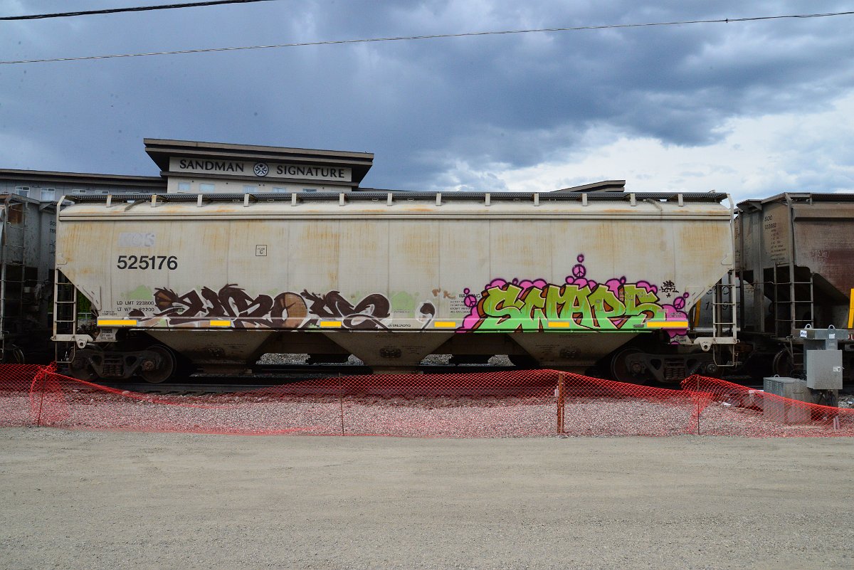 DSC_3828.JPG