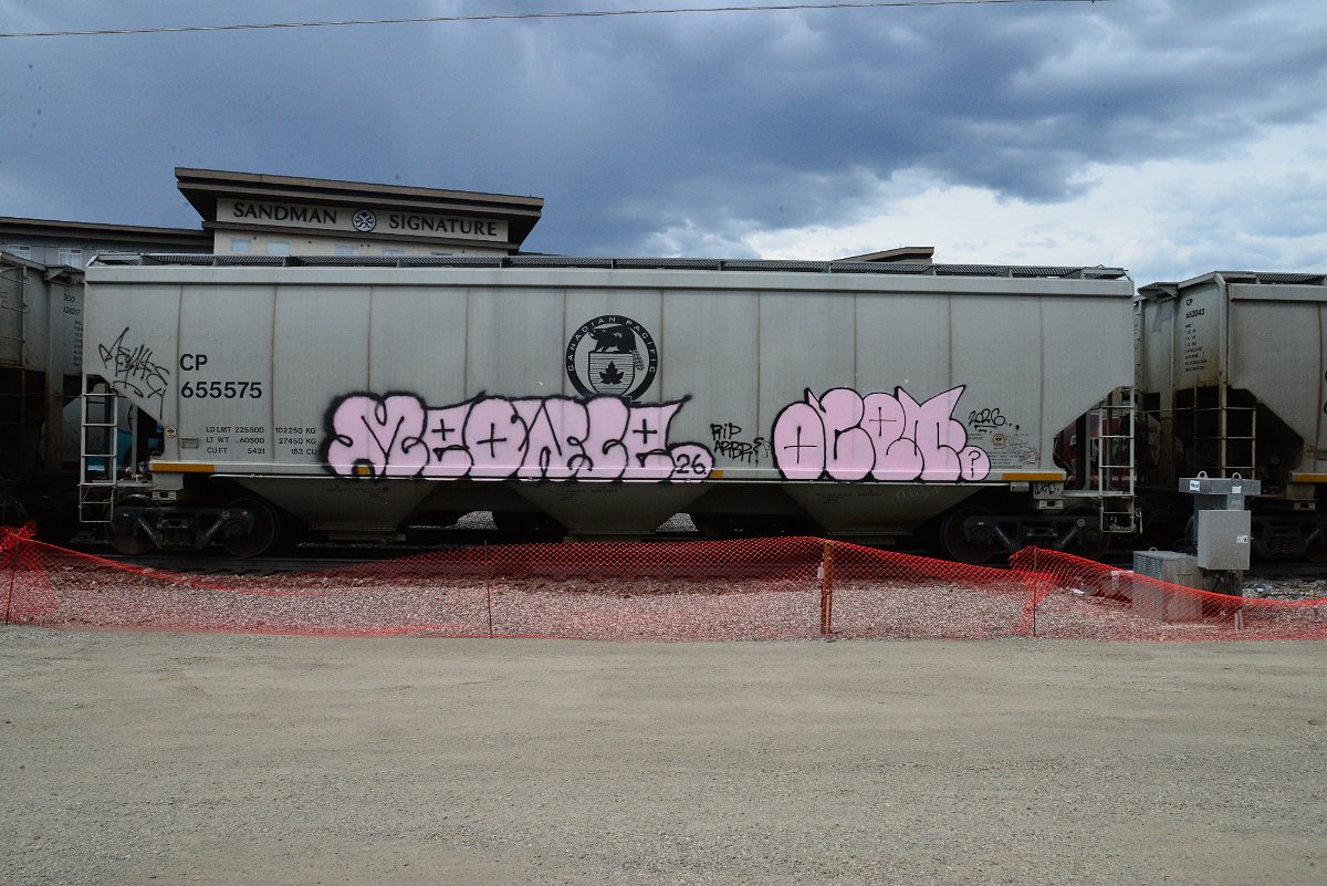 DSC_3856.JPG