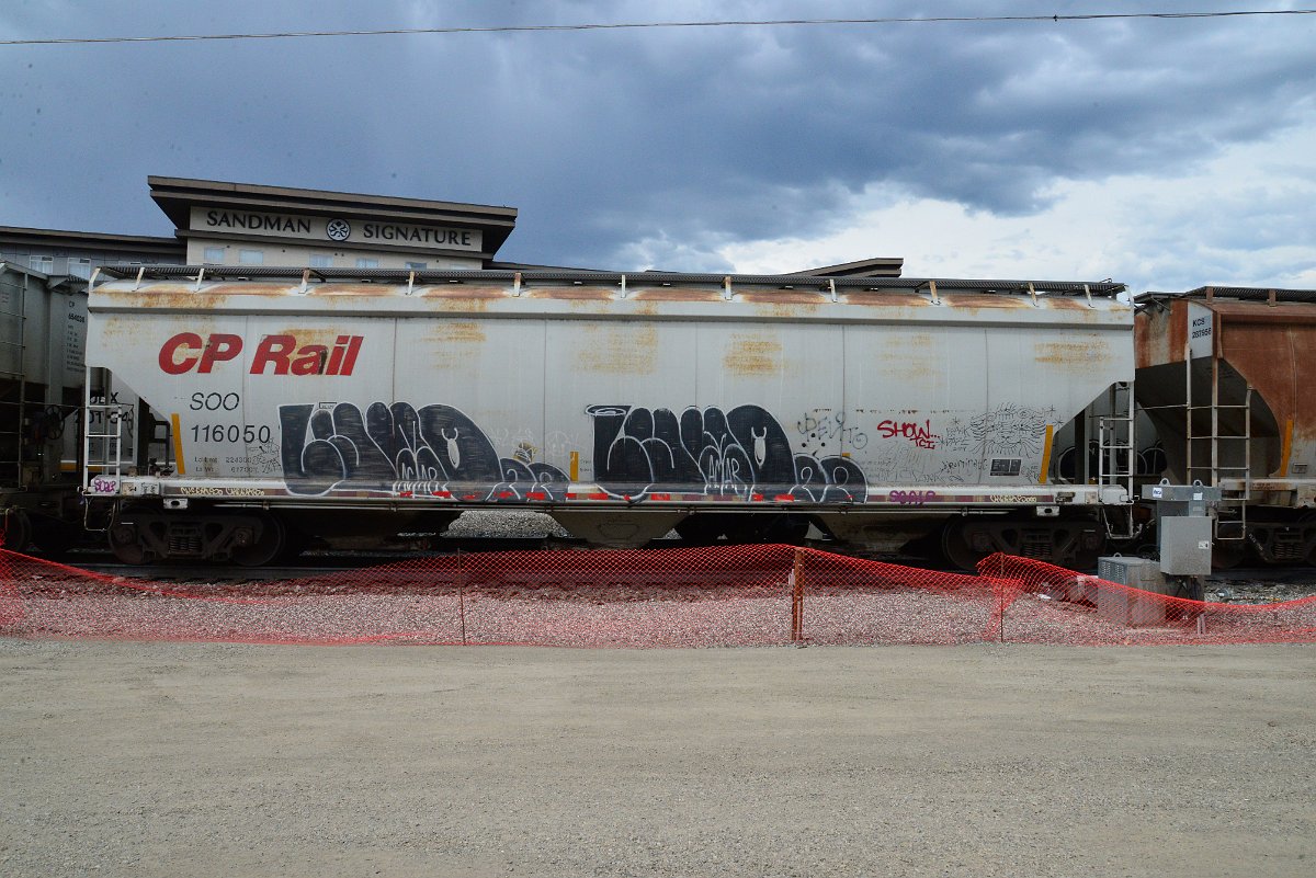 DSC_3862.JPG