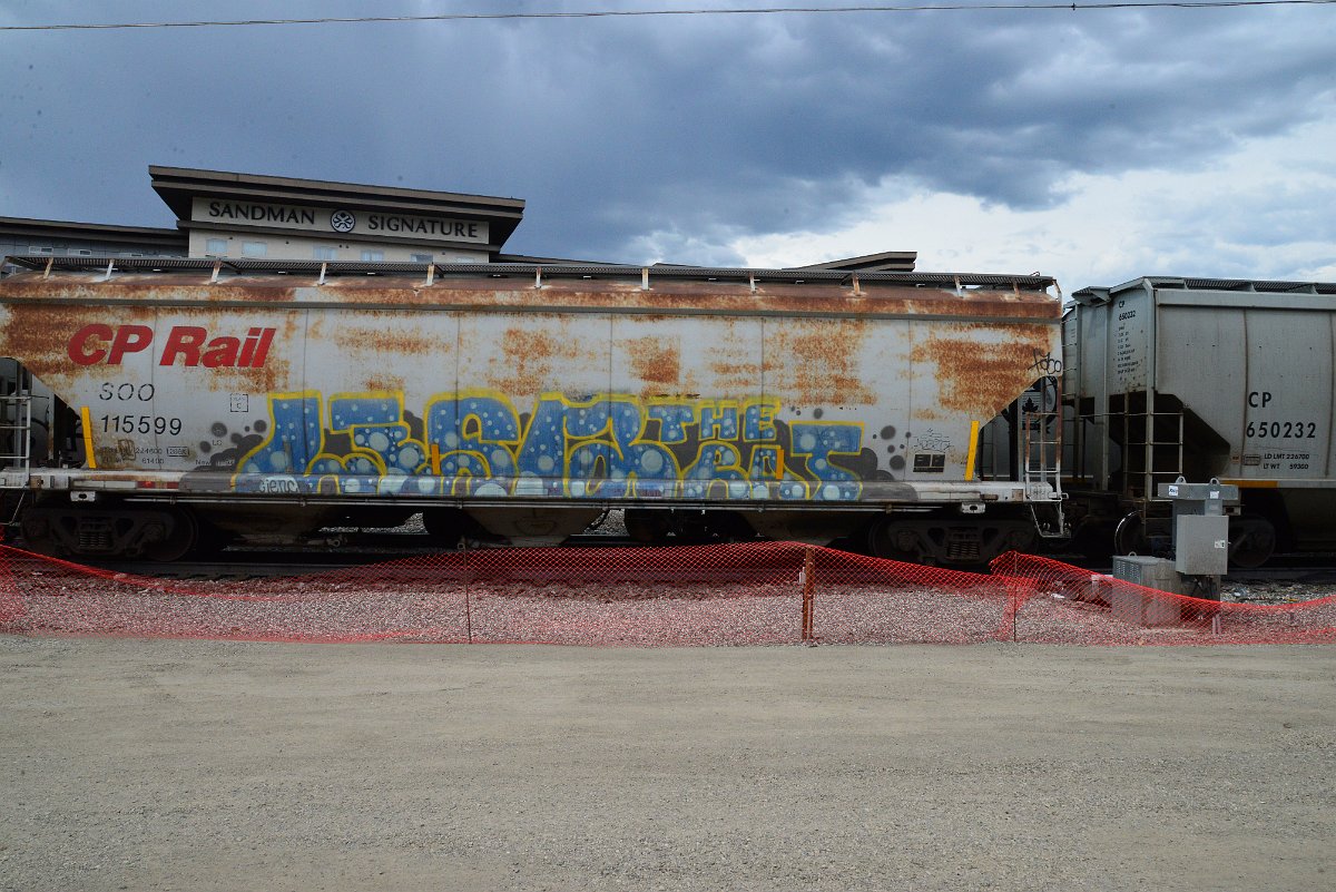 DSC_3867.JPG