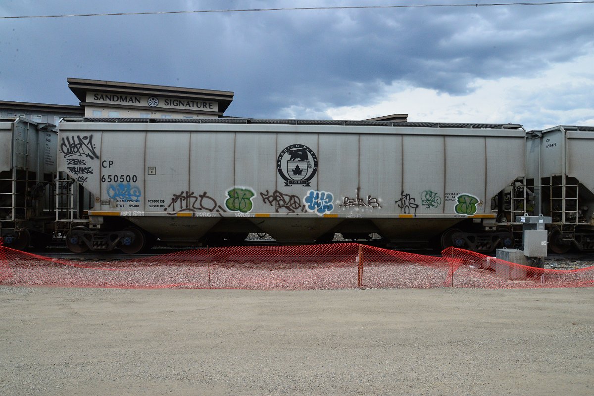 DSC_3869.JPG