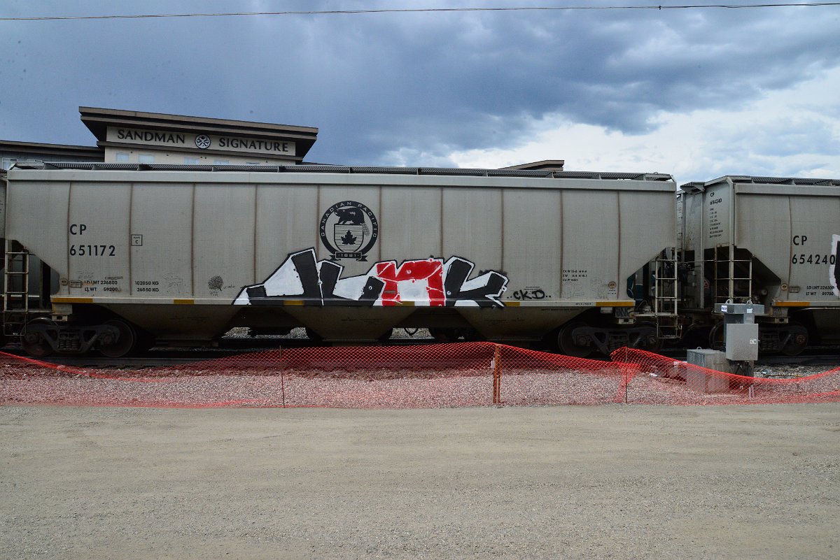 DSC_3873.JPG