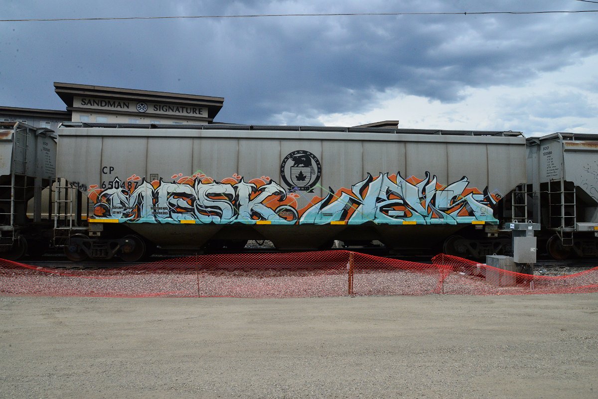 DSC_3879.JPG
