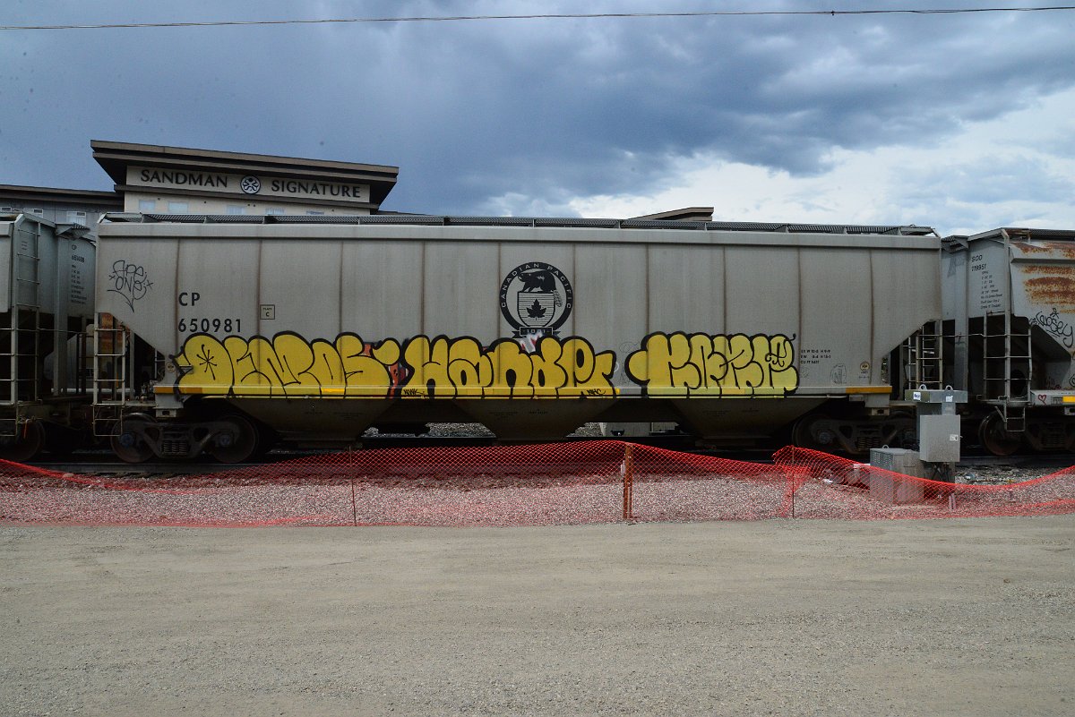 DSC_3891.JPG