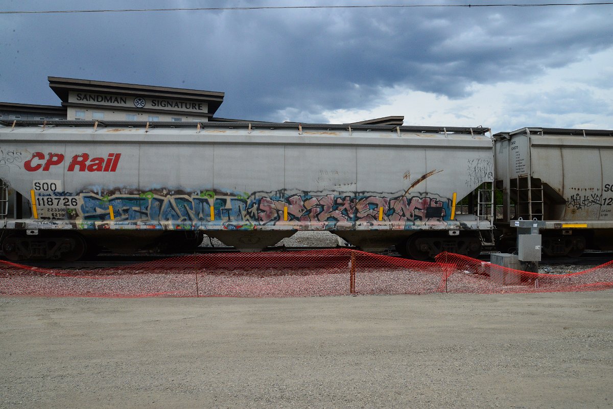 DSC_3895.JPG