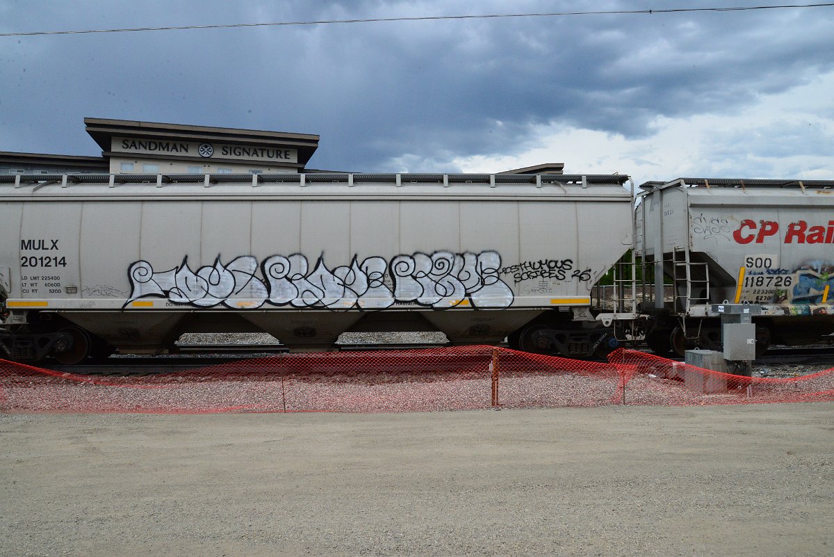 DSC_3896.JPG