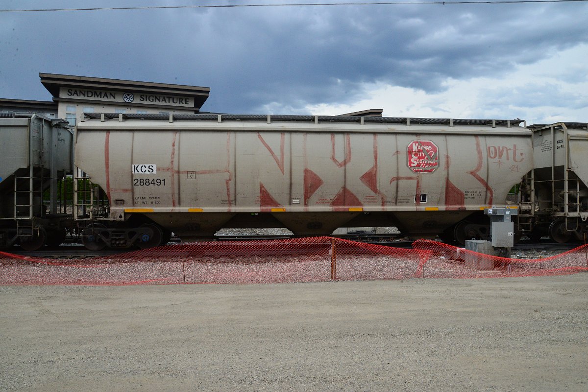 DSC_3906.JPG
