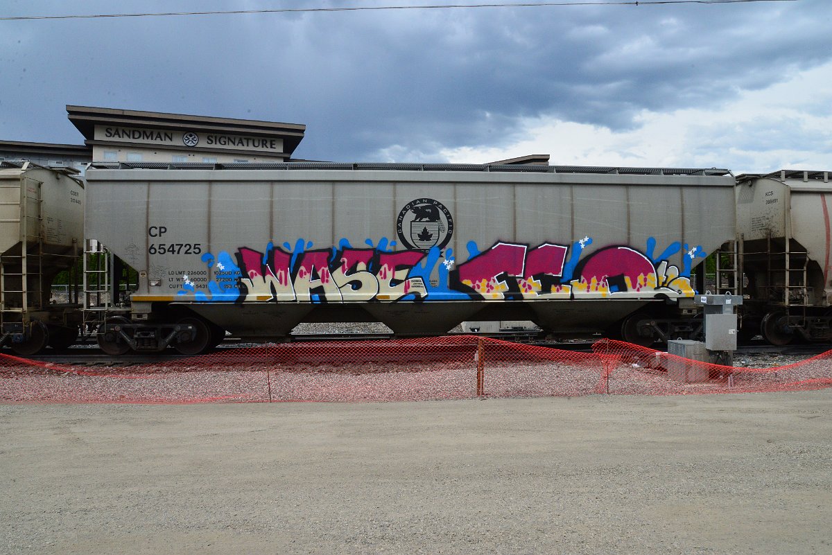 DSC_3907.JPG