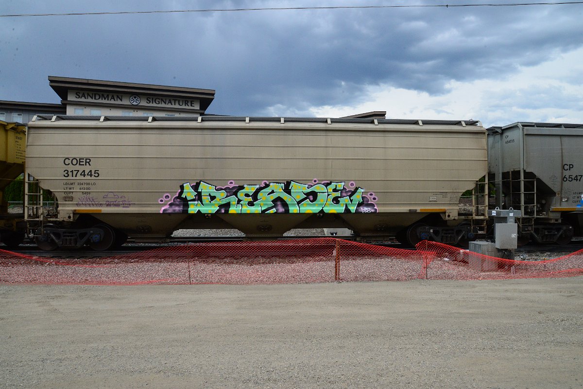 DSC_3908.JPG