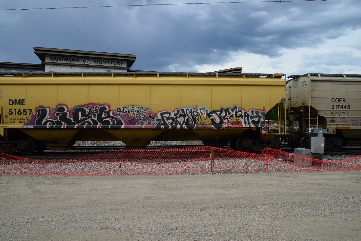 DSC_3909.JPG