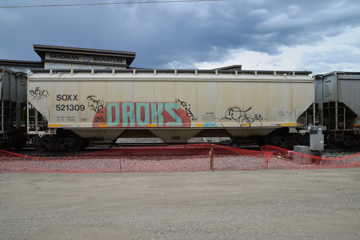 DSC_3911.JPG