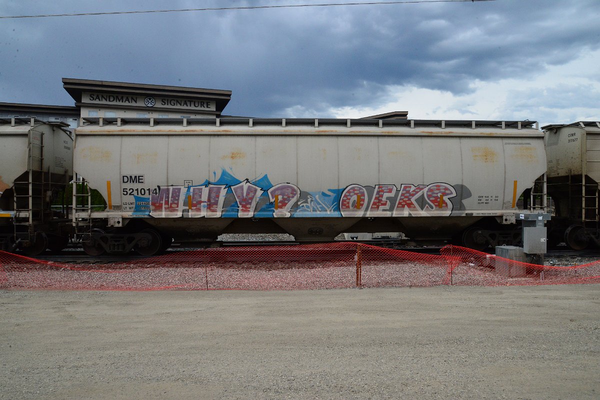 DSC_3921.JPG