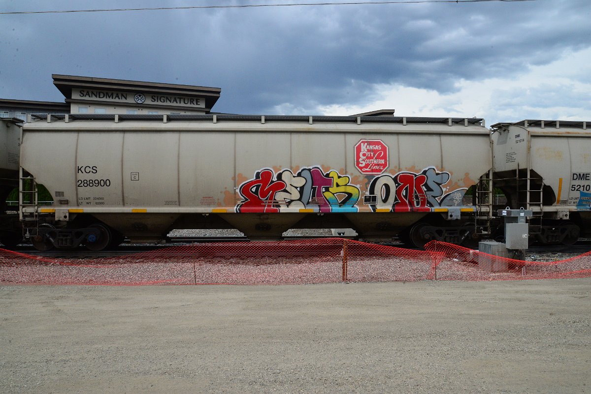 DSC_3922.JPG