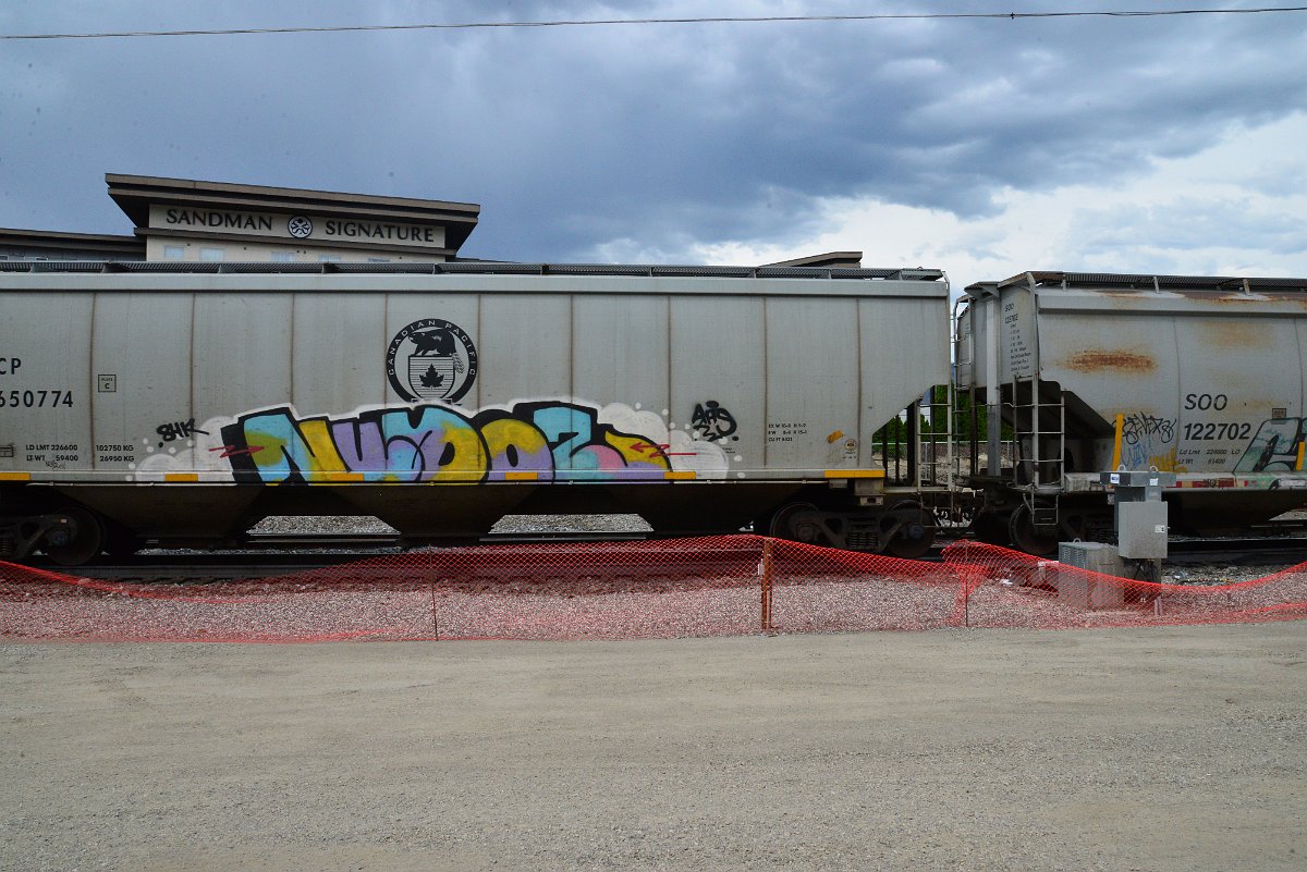 DSC_3931.JPG
