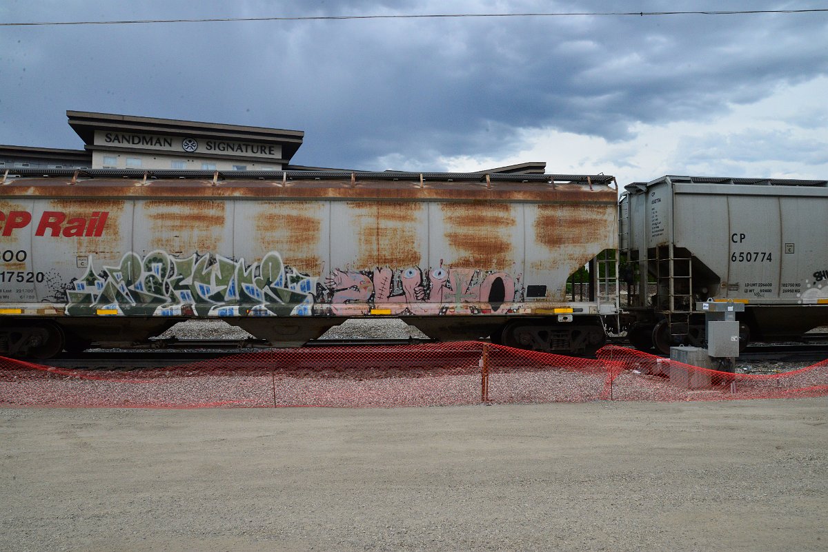 DSC_3932.JPG