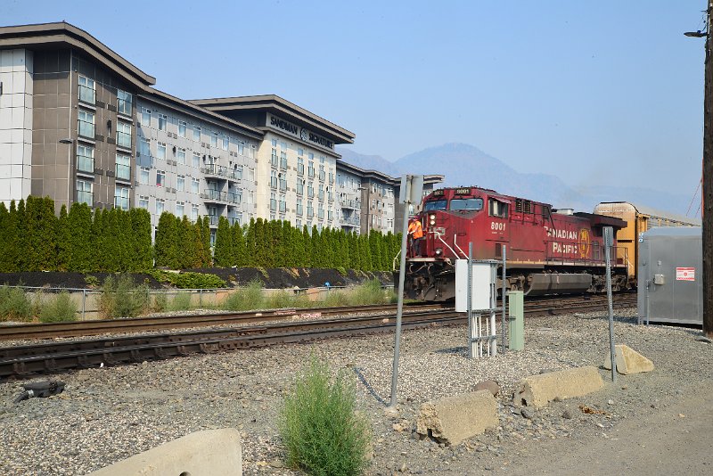 DSC_8576.JPG