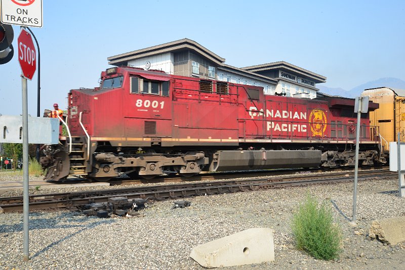 DSC_8578.JPG