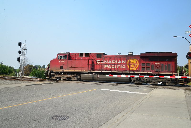 DSC_8579.JPG