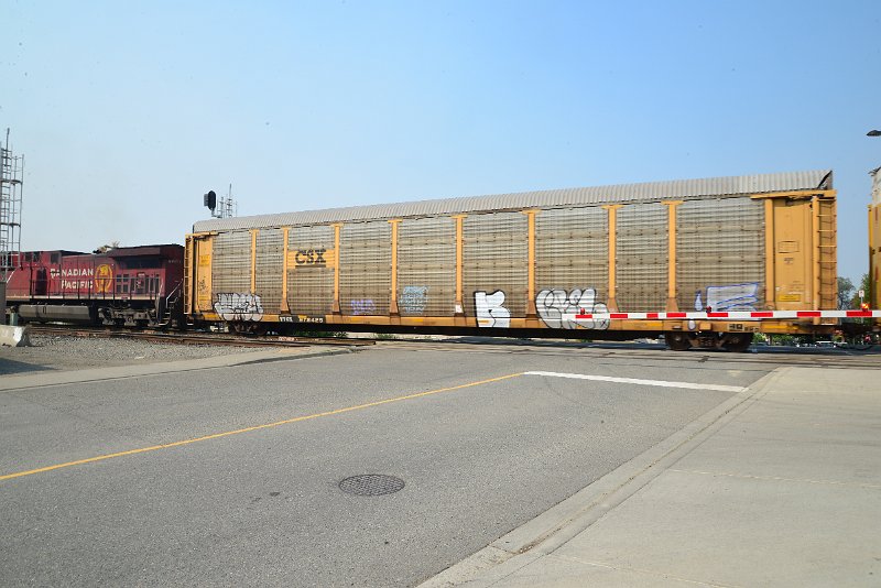 DSC_8581.JPG