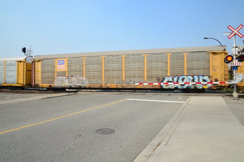 DSC_8587.JPG
