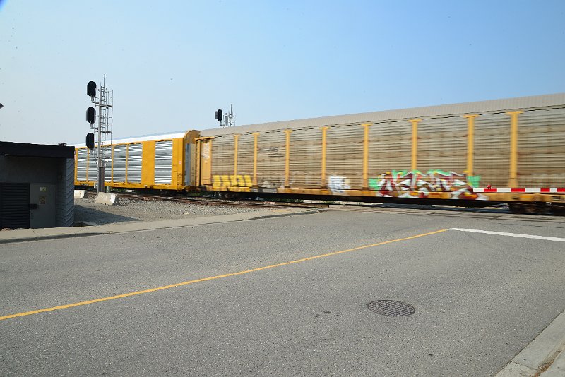 DSC_8590.JPG