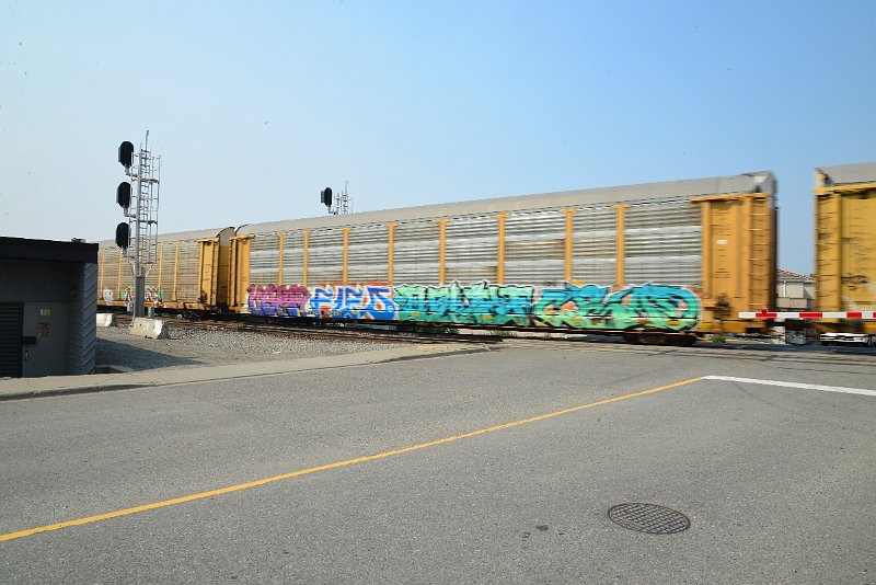 DSC_8591.JPG