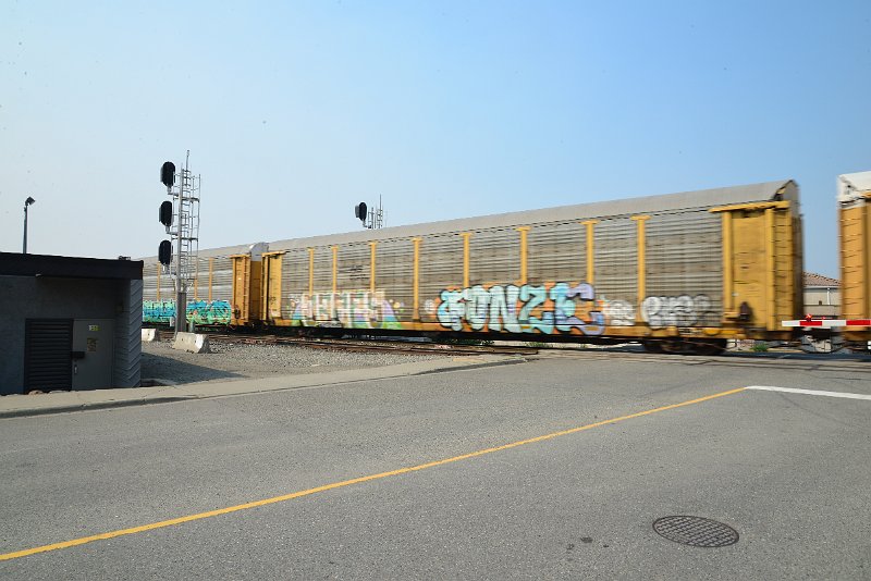 DSC_8592.JPG