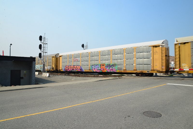 DSC_8593.JPG