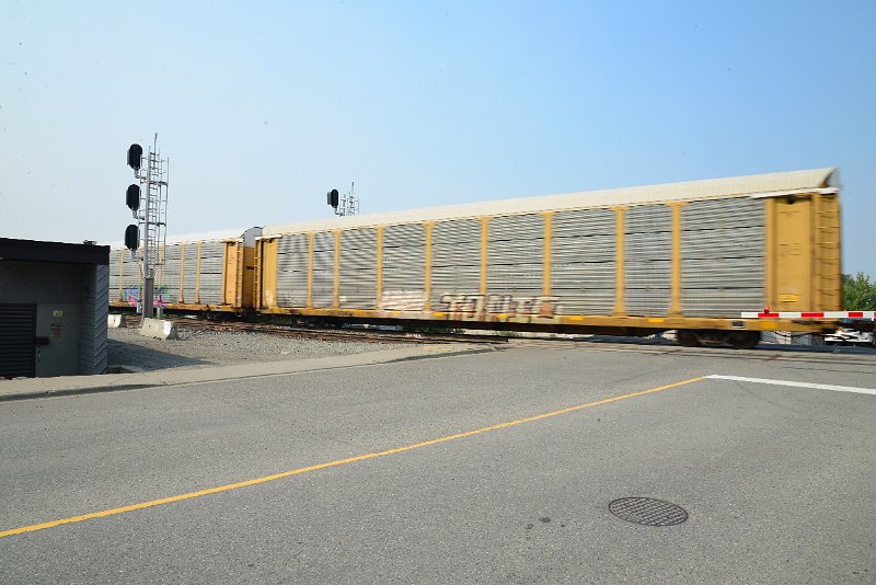 DSC_8594.JPG