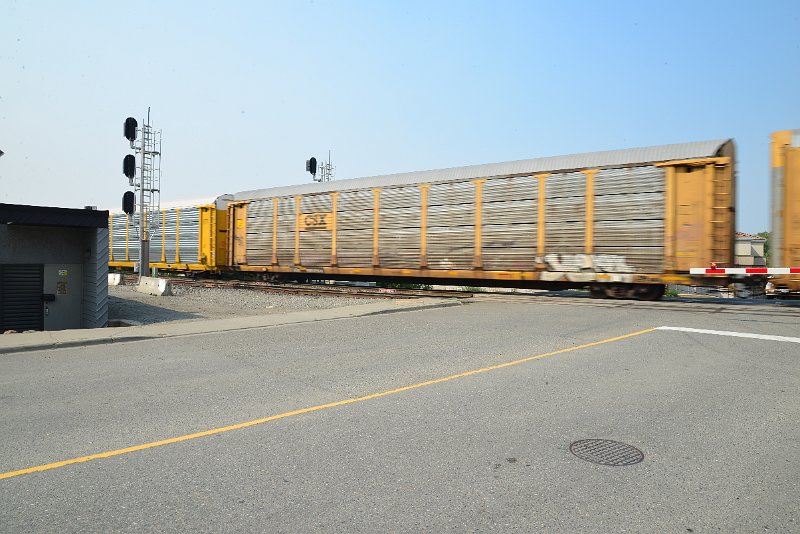 DSC_8596.JPG