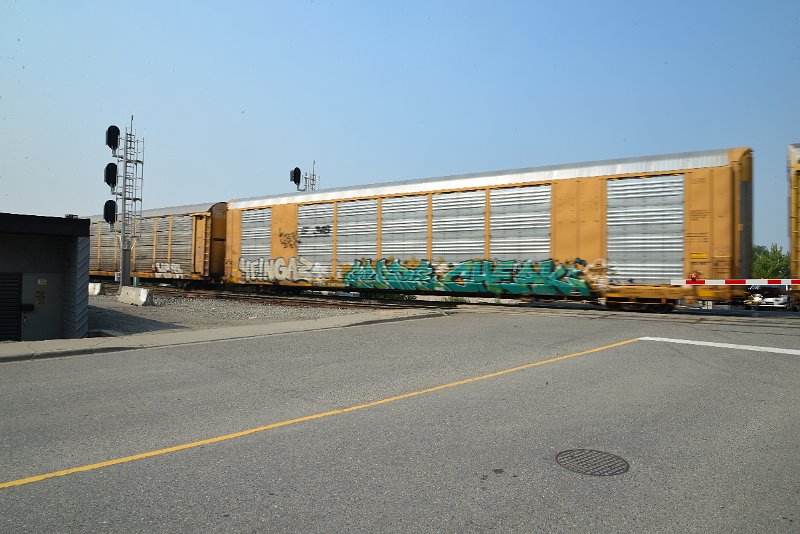 DSC_8597.JPG