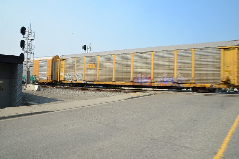 DSC_8598.JPG