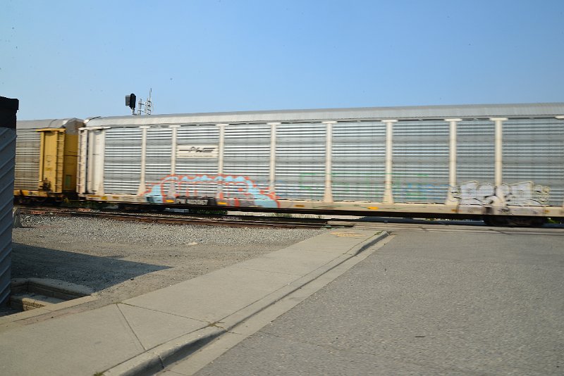 DSC_8599.JPG