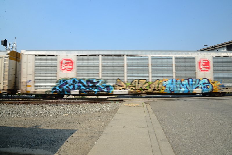 DSC_8600.JPG