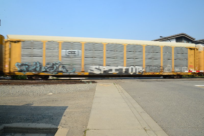 DSC_8601.JPG