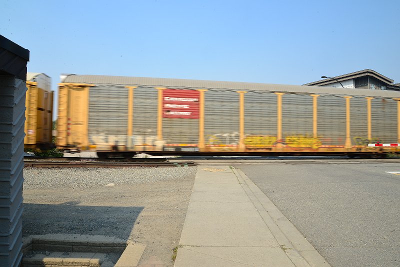 DSC_8602.JPG