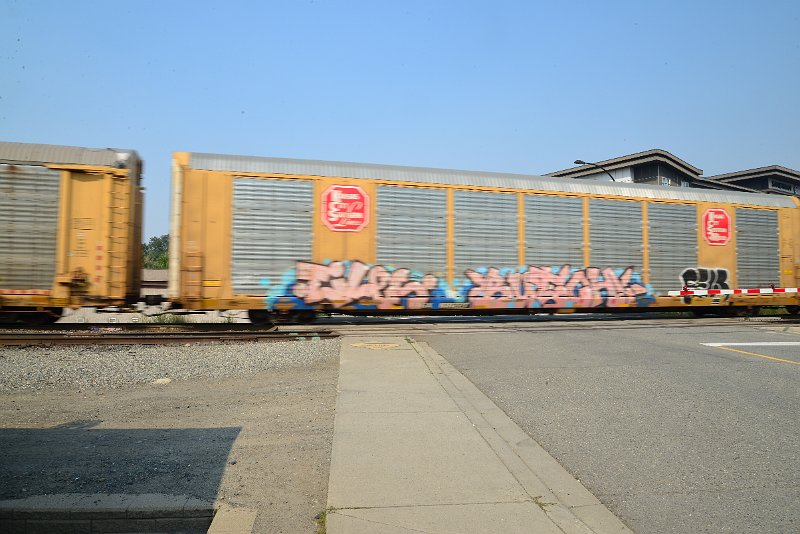 DSC_8603.JPG