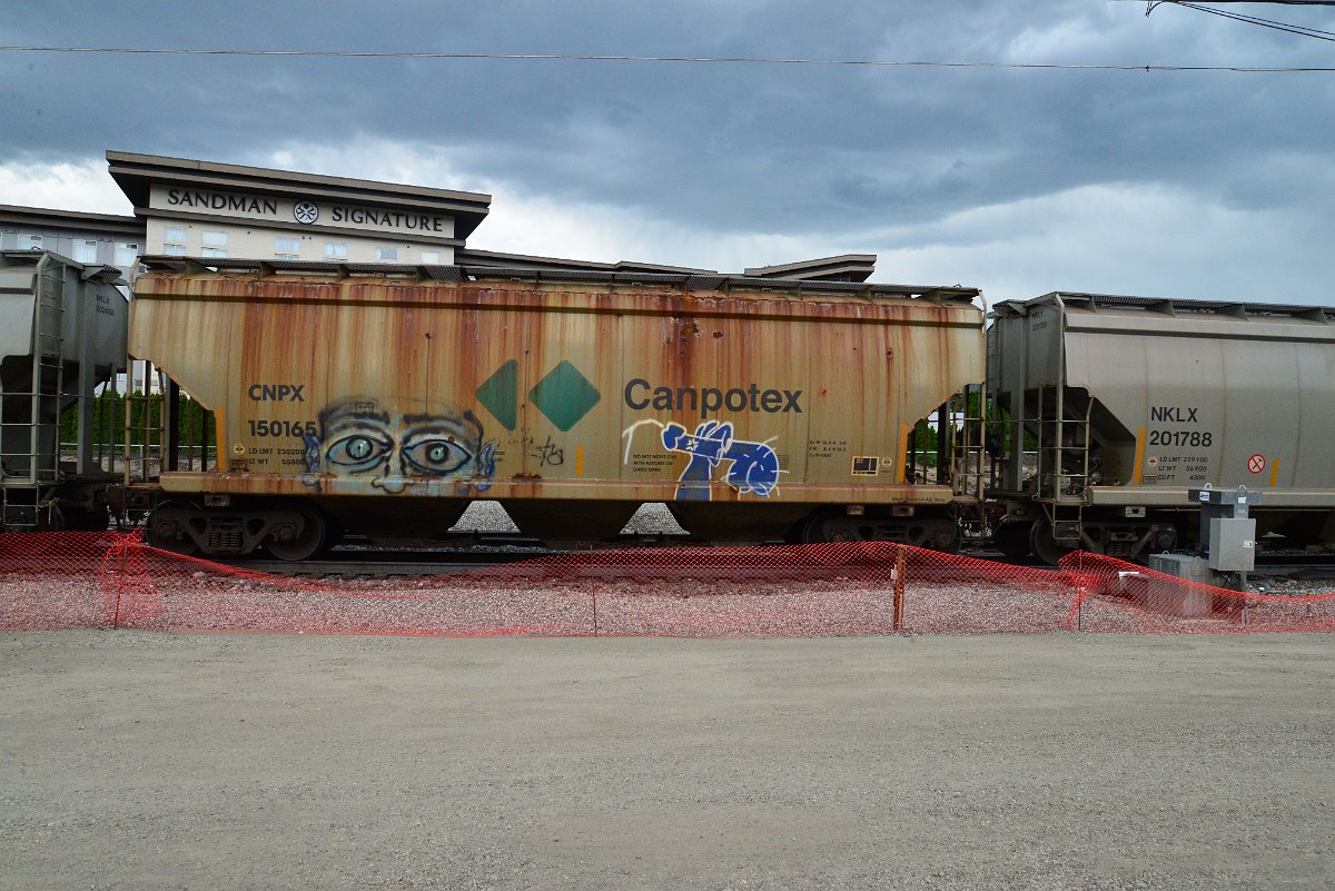 DSC_4044.JPG