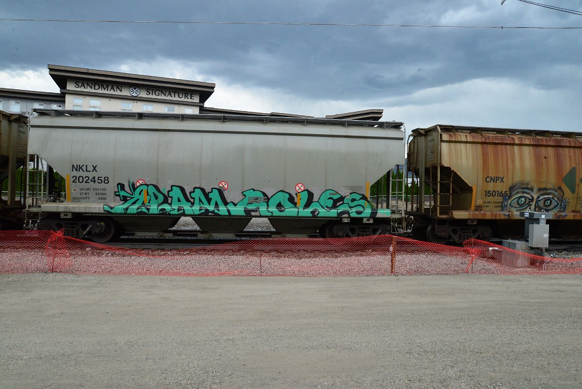 DSC_4045.JPG