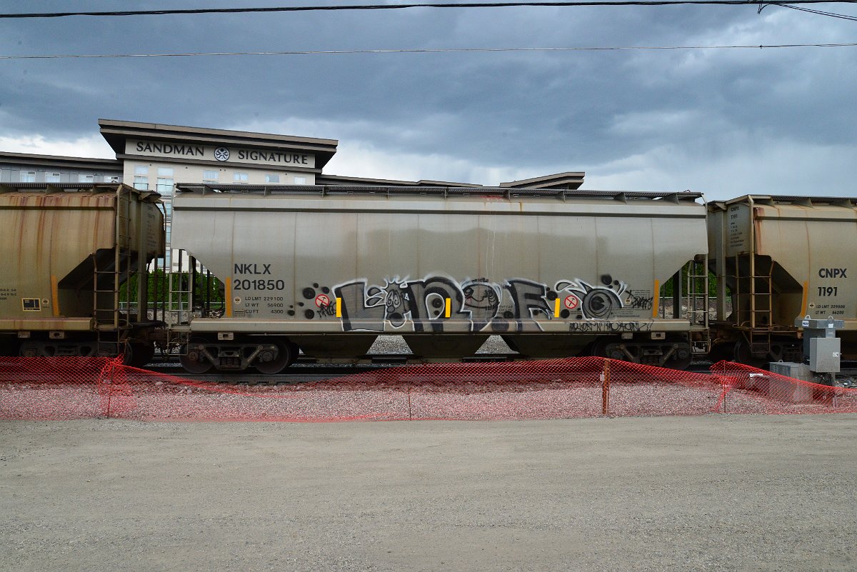DSC_4139.JPG