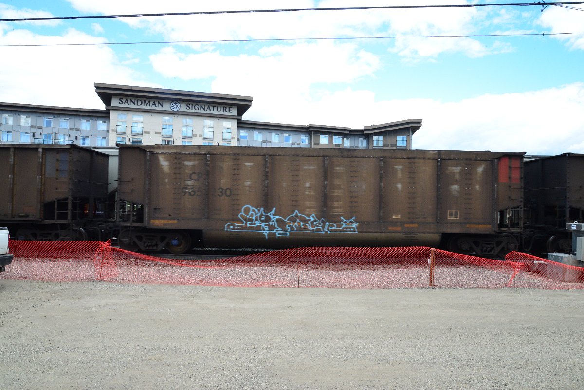 DSC_4272.JPG