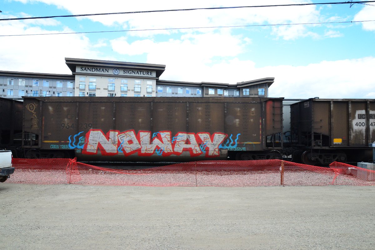 DSC_4321.JPG