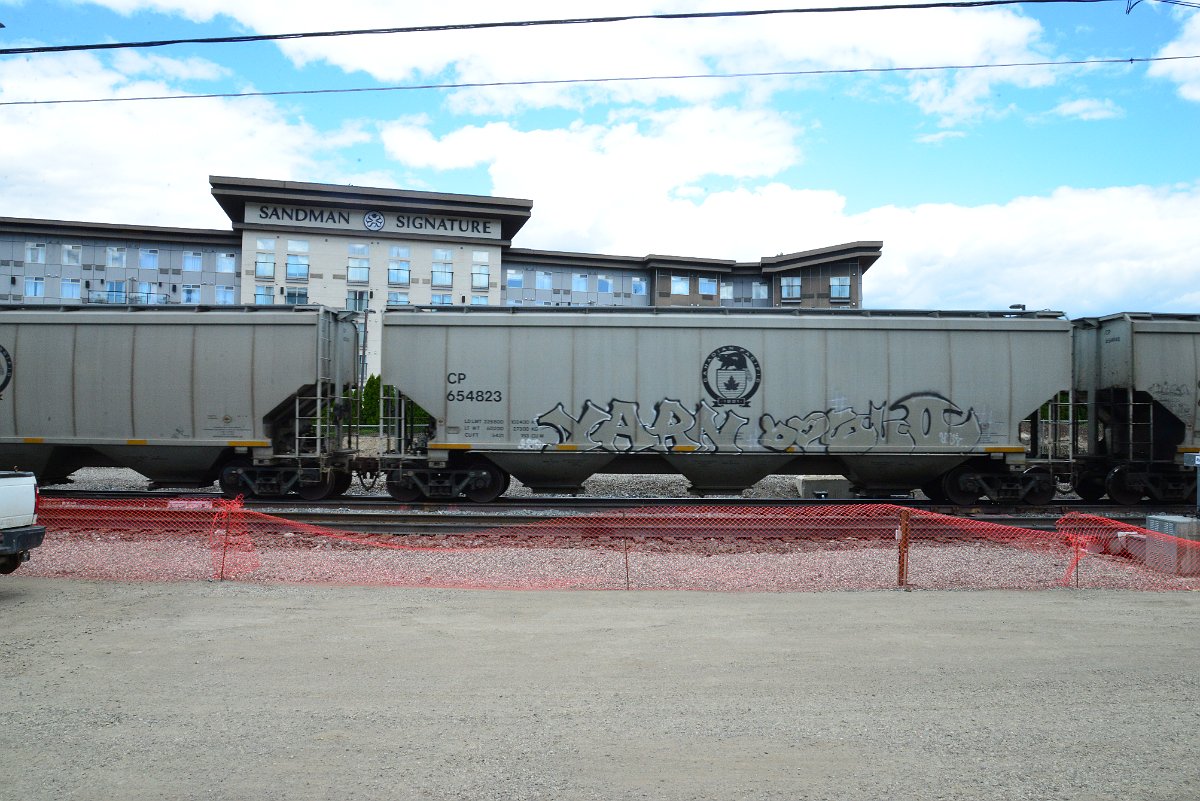 DSC_4354.JPG
