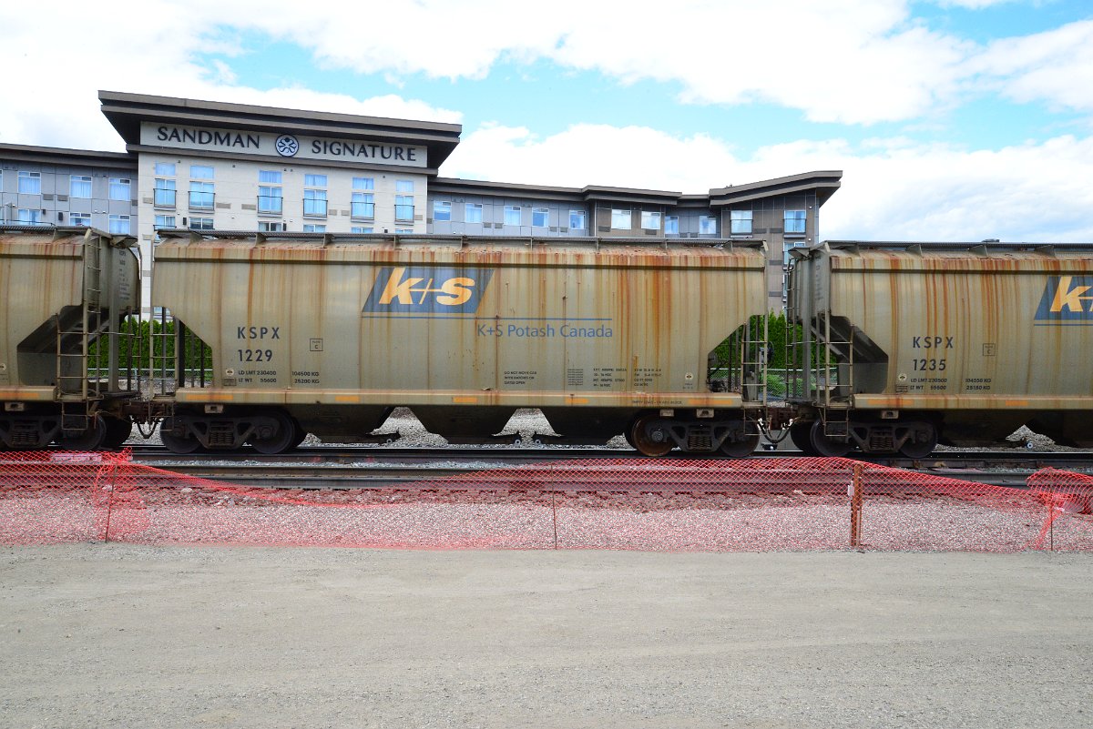 DSC_4392.JPG