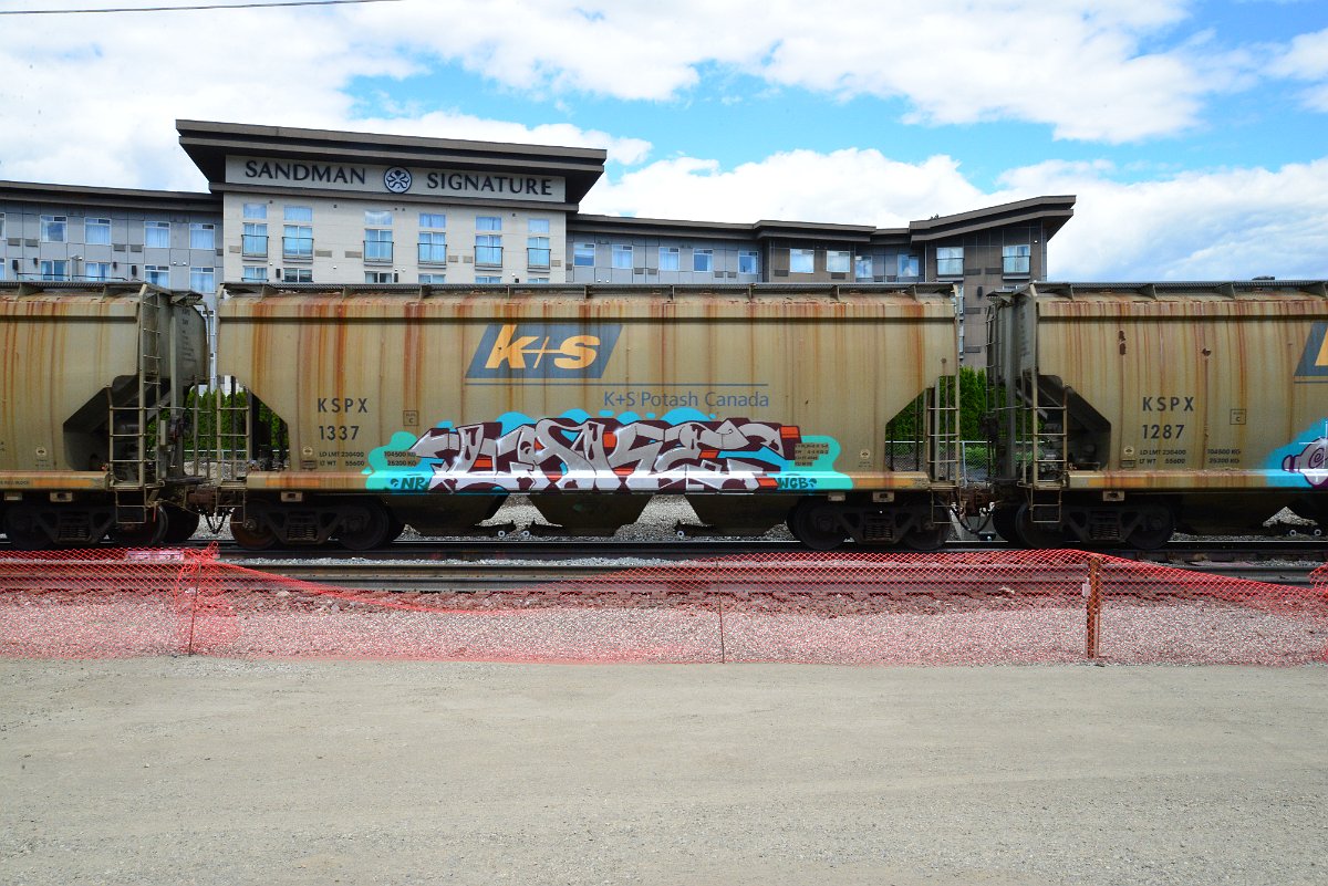 DSC_4425.JPG