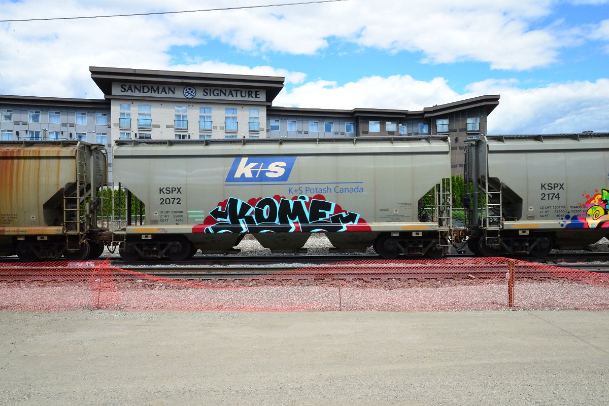 DSC_4428.JPG