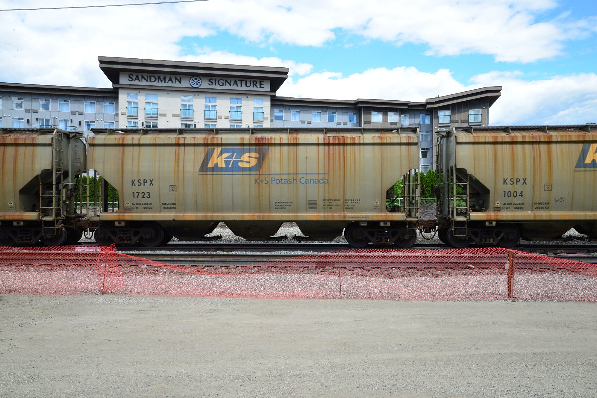 DSC_4433.JPG